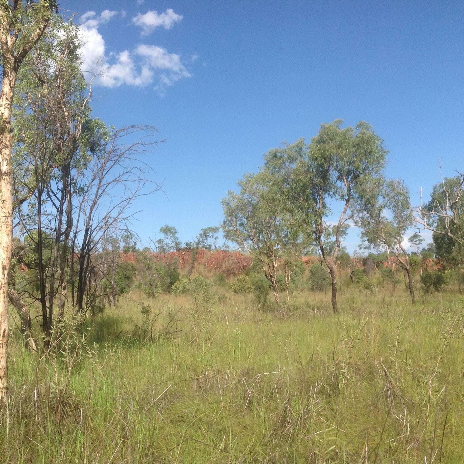 647 Crossing Falls Road, Kununurra For Sale by Farmbuy.com - image 3