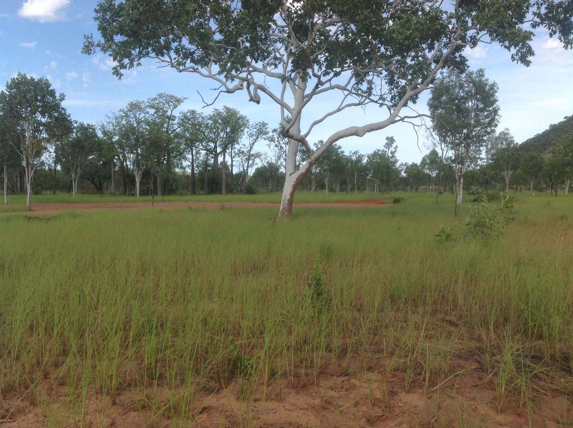647 Crossing Falls Road, Kununurra For Sale by Farmbuy.com - image 2