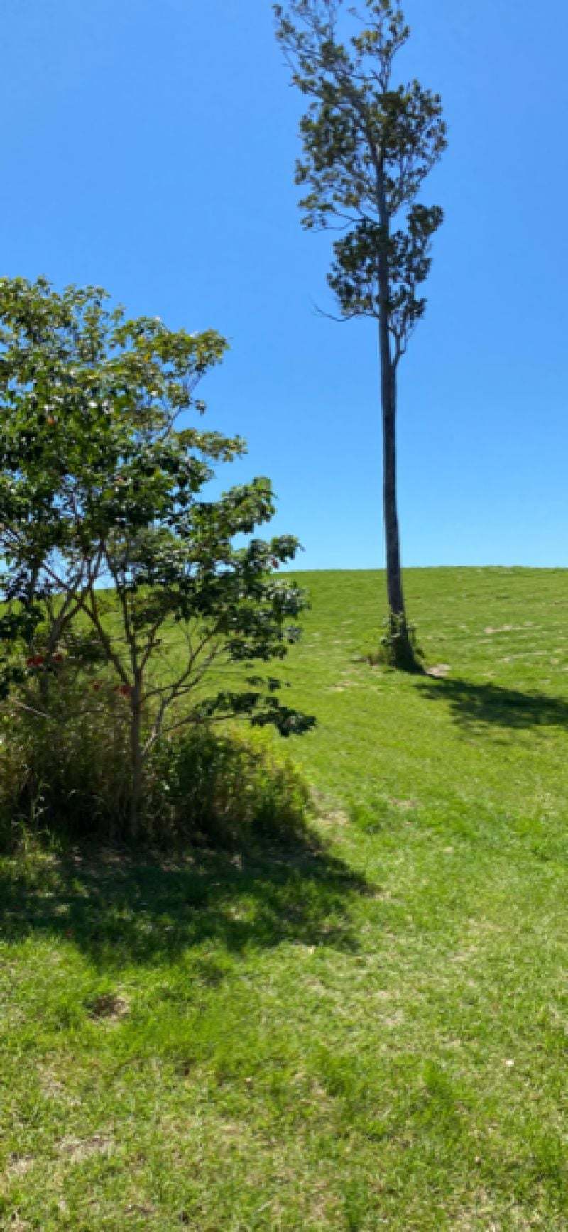 116 Fig Tree Beach Road, Midgeree Bar For Sale by Farmbuy.com - image 18