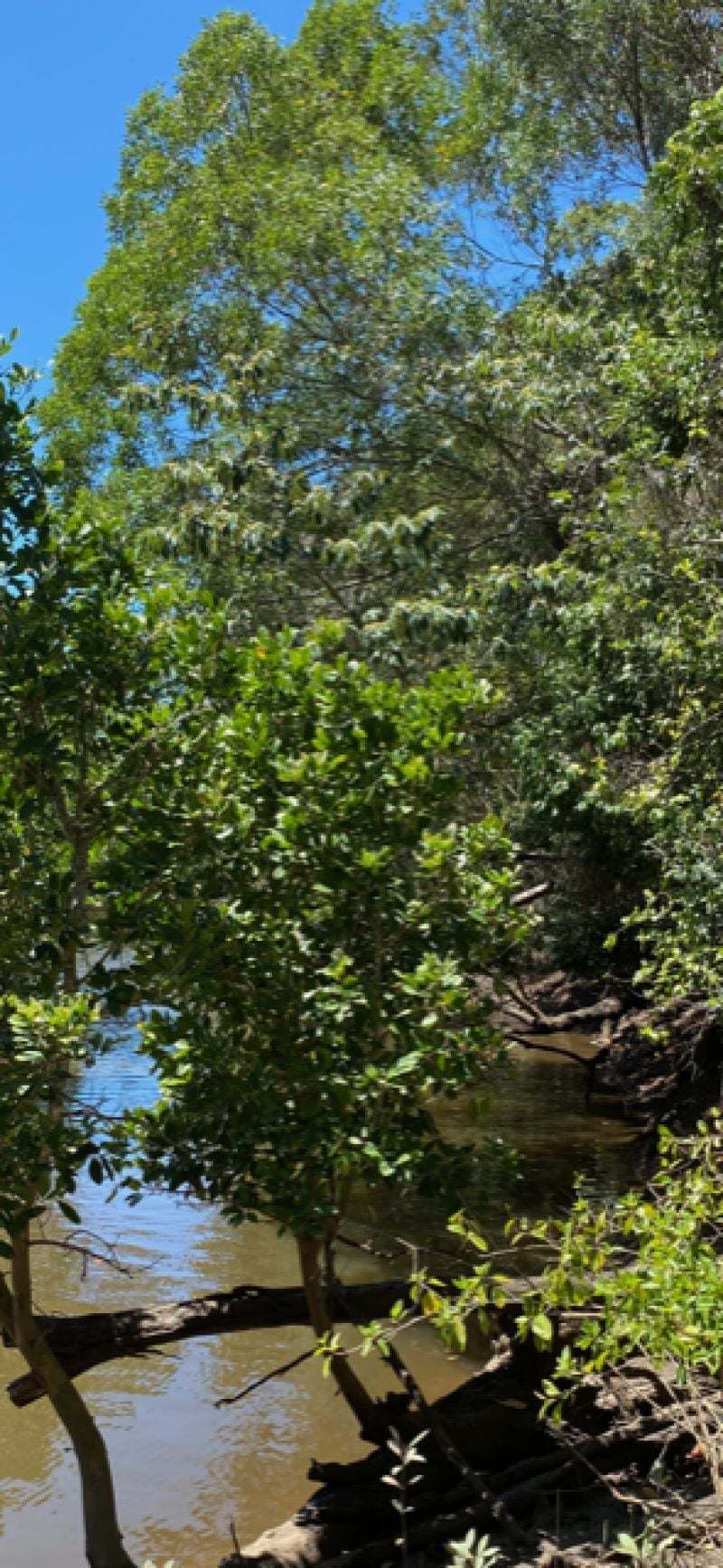116 Fig Tree Beach Road, Midgeree Bar For Sale by Farmbuy.com - image 15