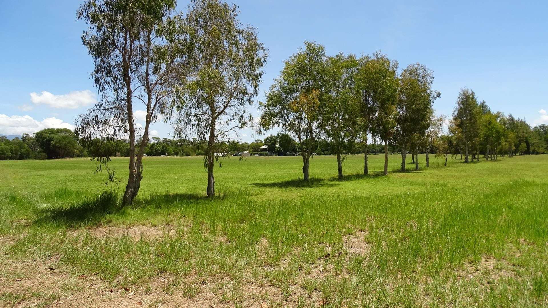 116 Fig Tree Beach Road, Midgeree Bar For Sale by Farmbuy.com - image 10