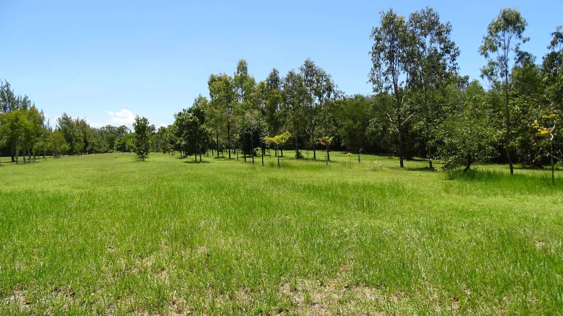116 Fig Tree Beach Road, Midgeree Bar For Sale by Farmbuy.com - image 9