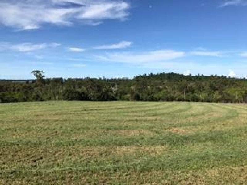 116 Fig Tree Beach Road, Midgeree Bar For Sale by Farmbuy.com - image 23