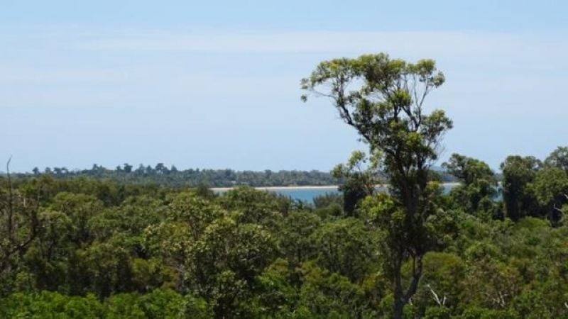116 Fig Tree Beach Road, Midgeree Bar For Sale by Farmbuy.com - image 7