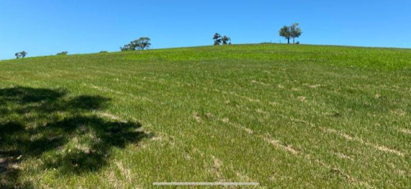 116 Fig Tree Beach Road, Midgeree Bar For Sale by Farmbuy.com - image 20
