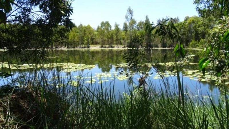 116 Fig Tree Beach Road, Midgeree Bar For Sale by Farmbuy.com - image 3