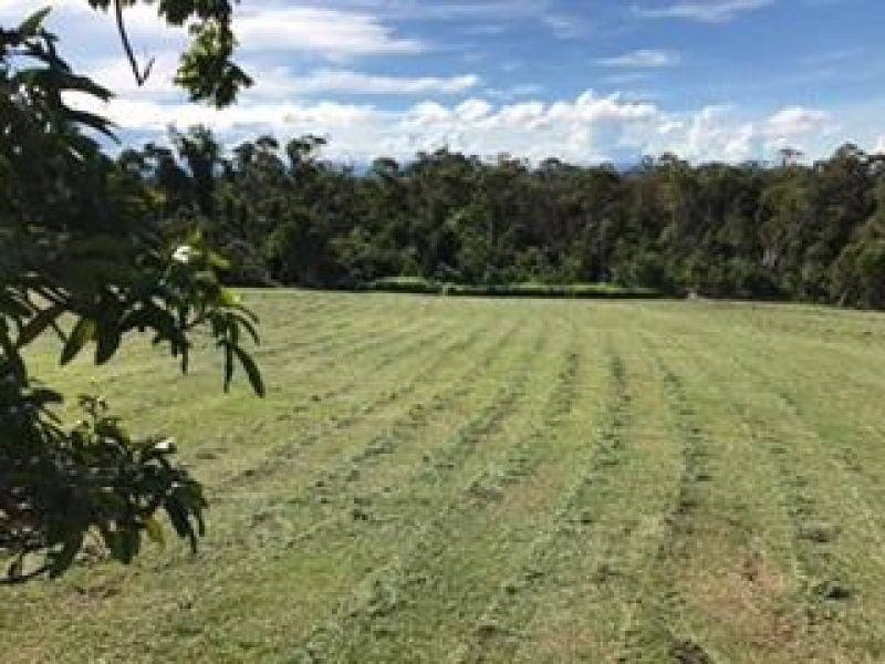116 Fig Tree Beach Road, Midgeree Bar For Sale by Farmbuy.com - image 24