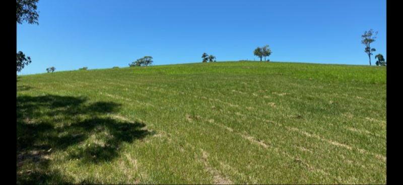 116 Fig Tree Beach Road, Midgeree Bar For Sale by Farmbuy.com - image 21