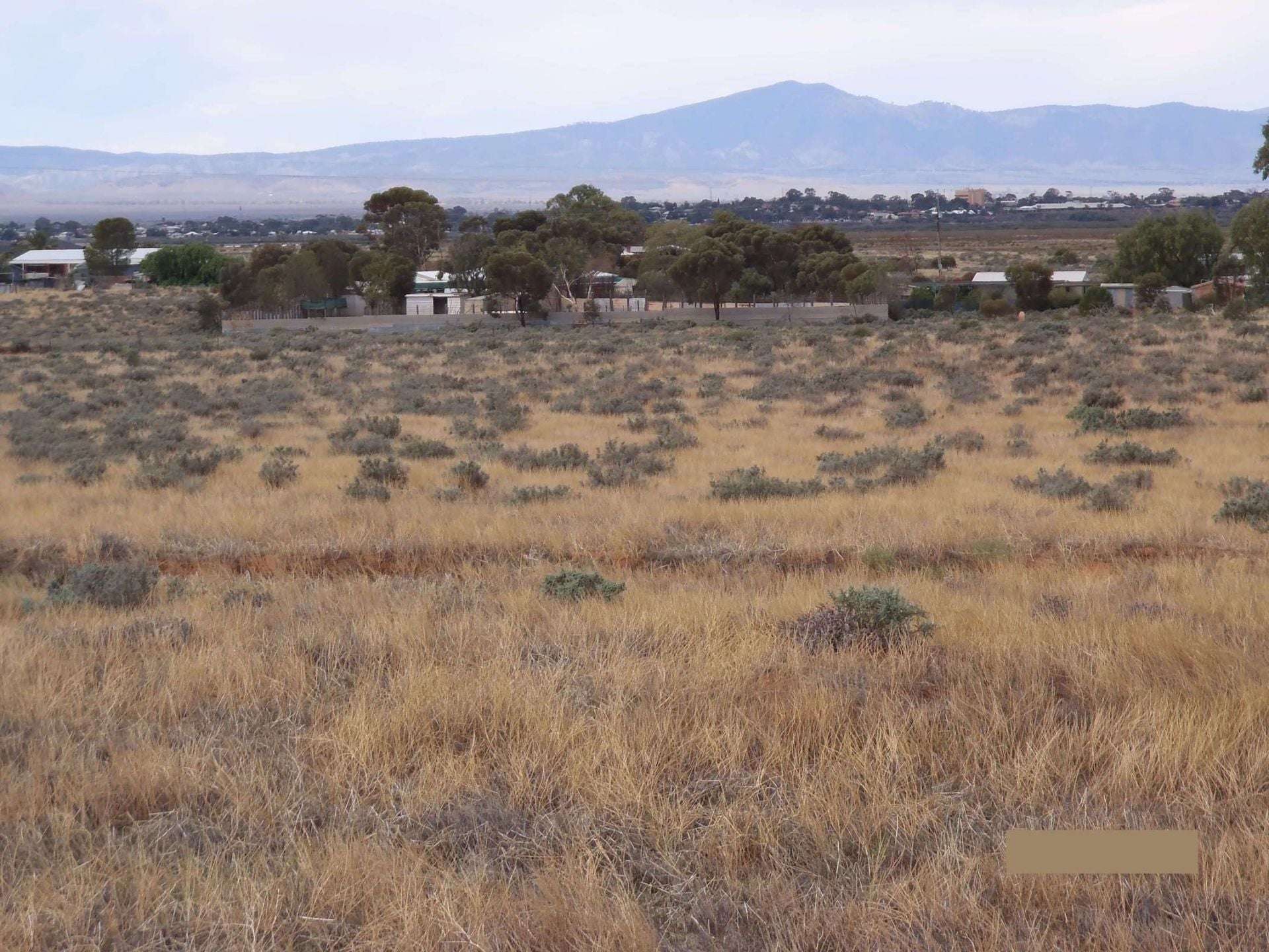 374 Caroona Road, Port Augusta West For Sale by Farmbuy.com - image 3