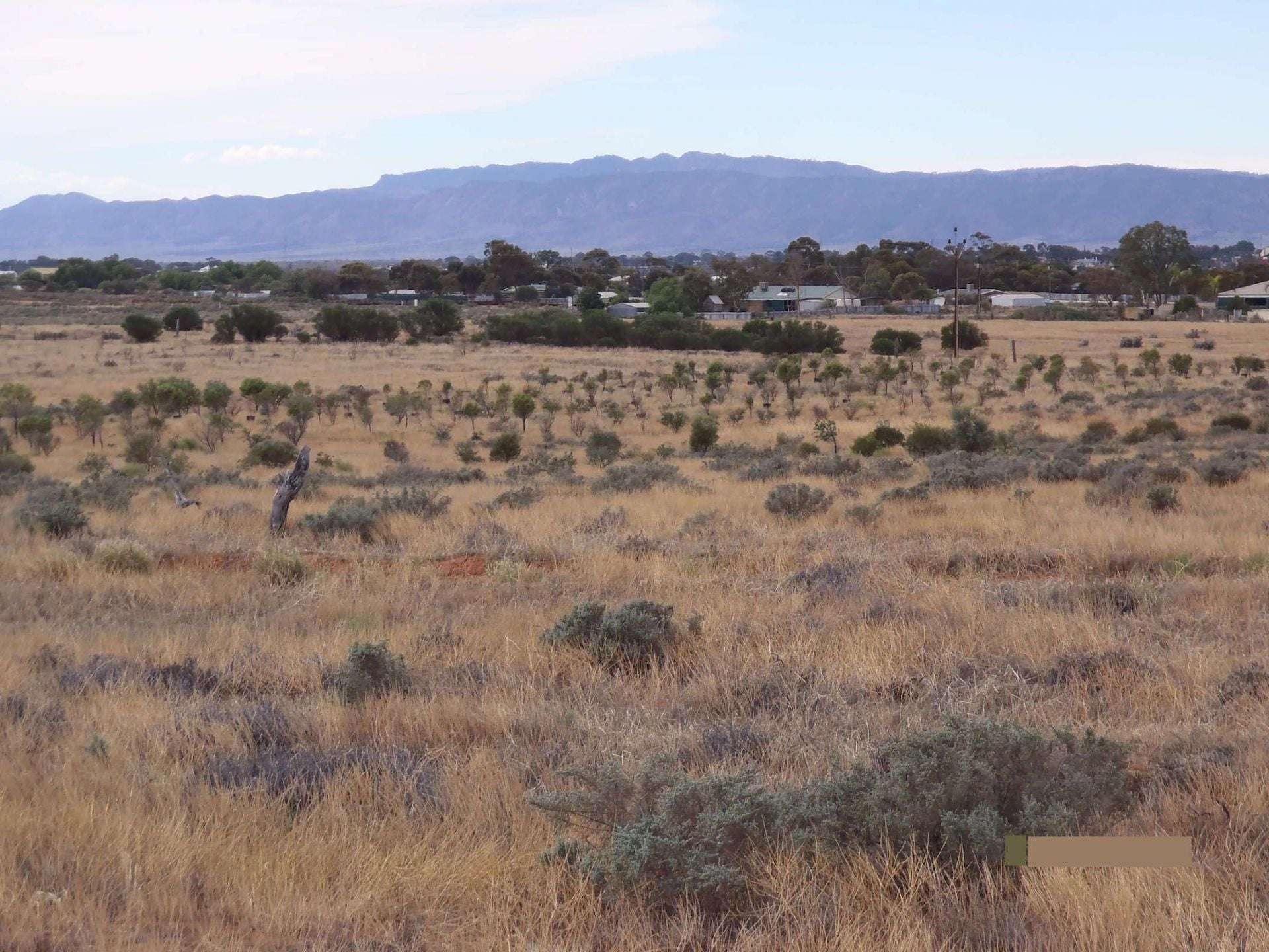 374 Caroona Road, Port Augusta West For Sale by Farmbuy.com - image 7