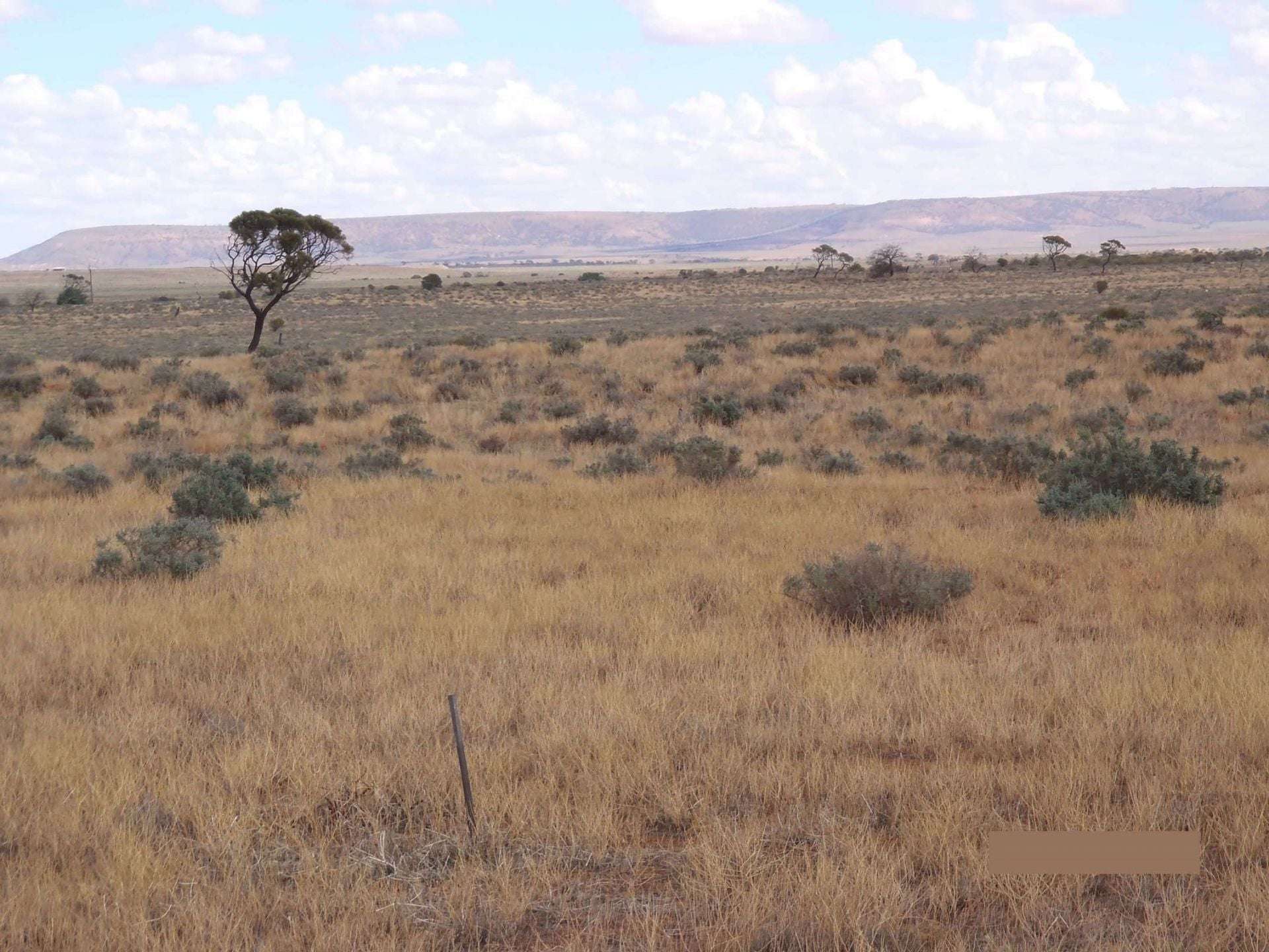 374 Caroona Road, Port Augusta West For Sale by Farmbuy.com - image 5