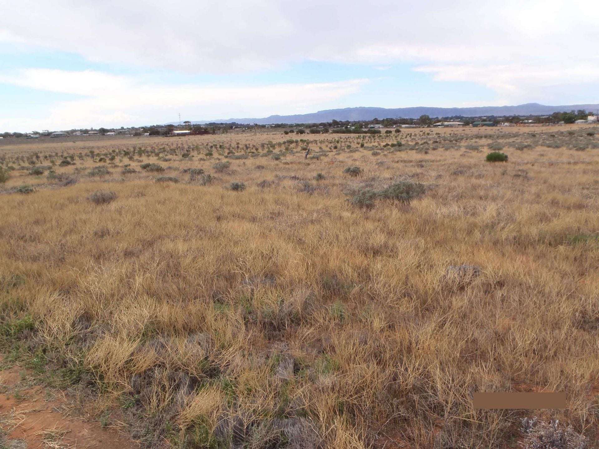 374 Caroona Road, Port Augusta West For Sale by Farmbuy.com - image 6