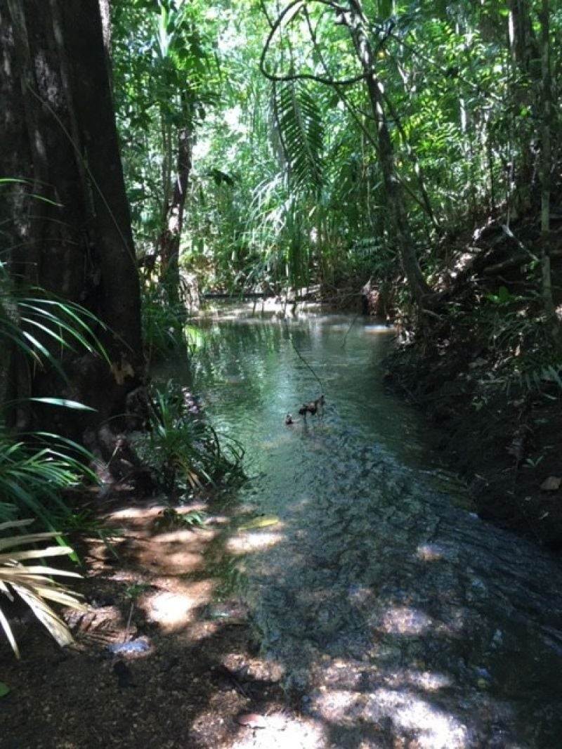 6 Lockhart River Rd, Iron Range For Sale by Farmbuy.com - image 19