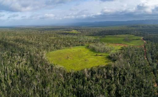 6 Lockhart River Rd, Iron Range QLD 4892