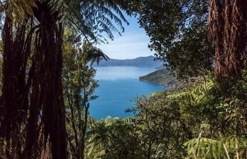 6 Lockhart River Rd, Iron Range For Sale by Farmbuy.com - image 12