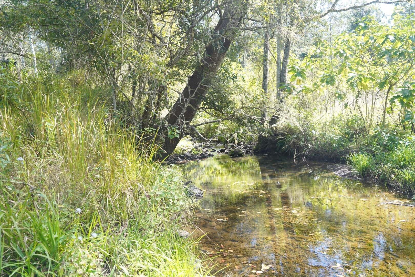432 Sargents Road, Kyogle For Sale by Farmbuy.com - image 20