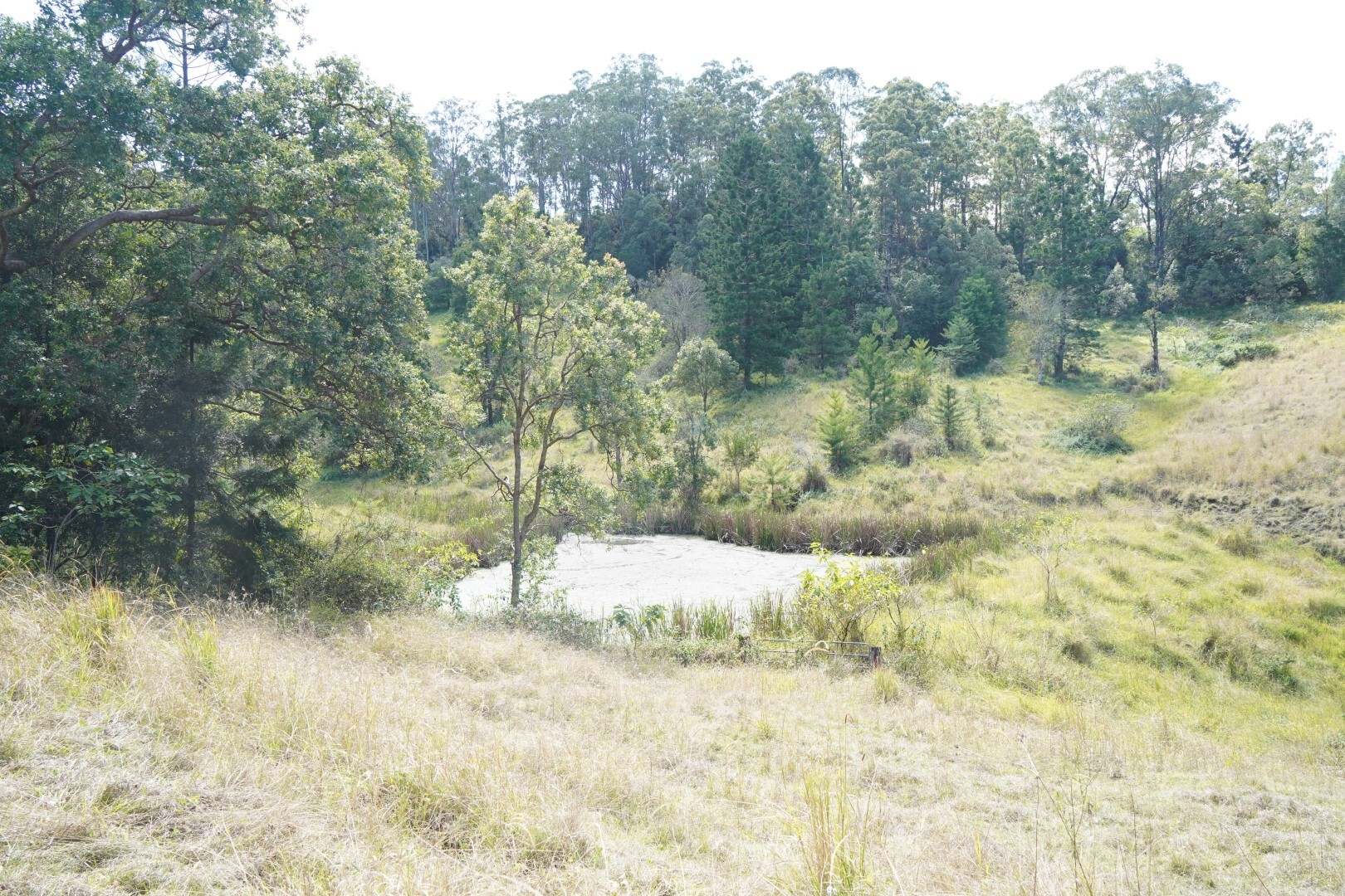 432 Sargents Road, Kyogle For Sale by Farmbuy.com - image 19