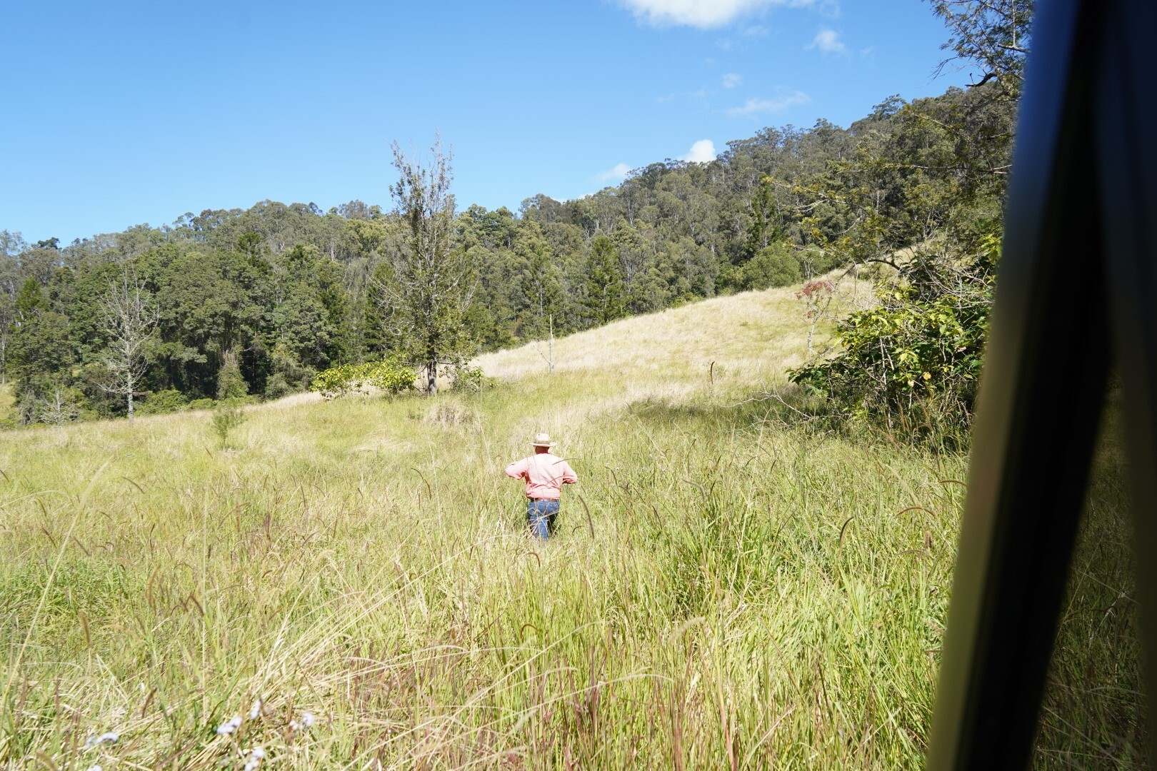 432 Sargents Road, Kyogle For Sale by Farmbuy.com - image 17