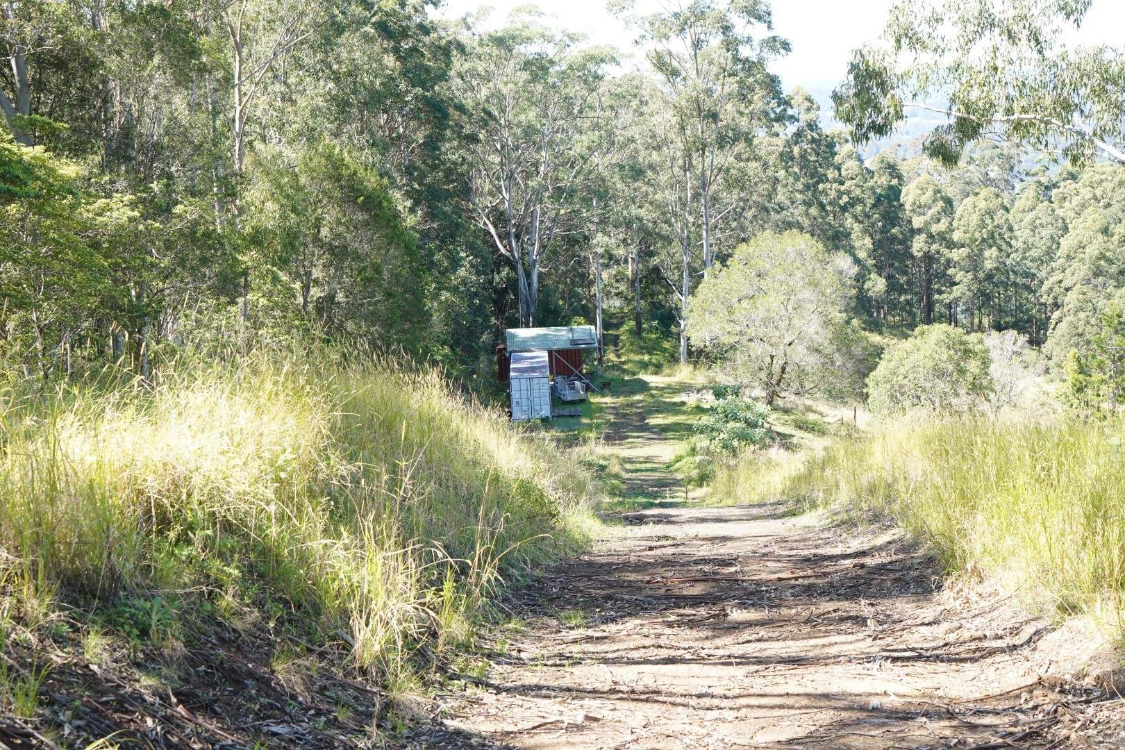 432 Sargents Road, Kyogle For Sale by Farmbuy.com - image 12