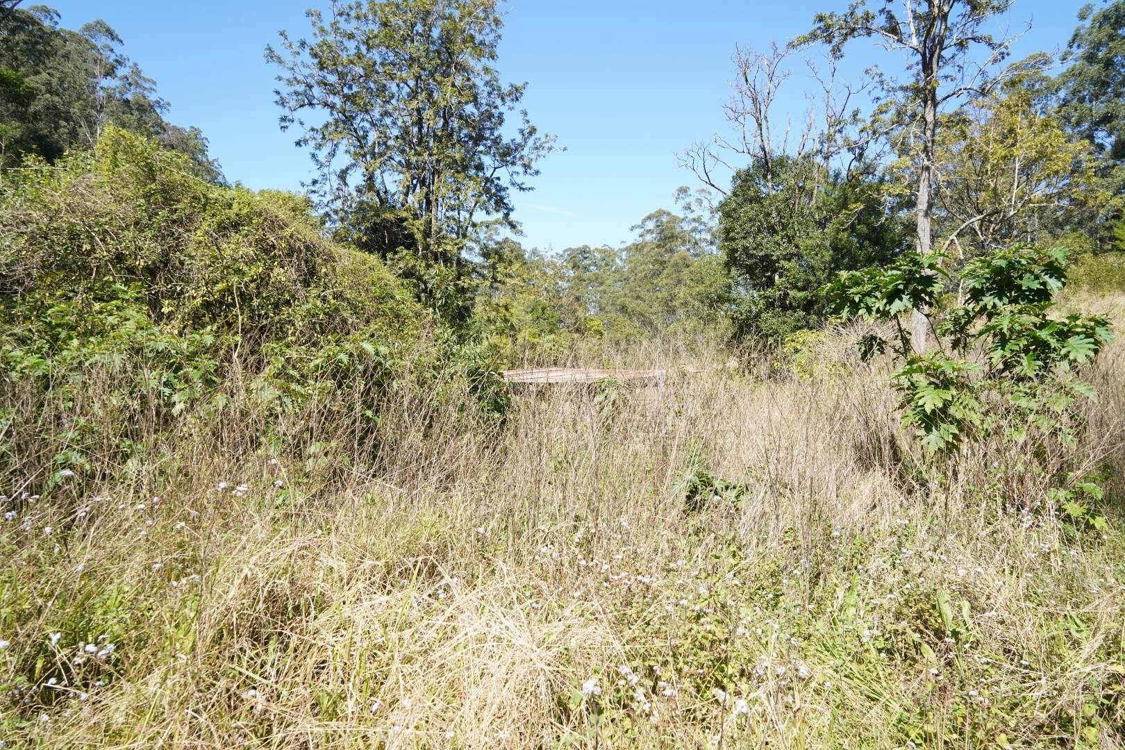 432 Sargents Road, Kyogle For Sale by Farmbuy.com - image 14