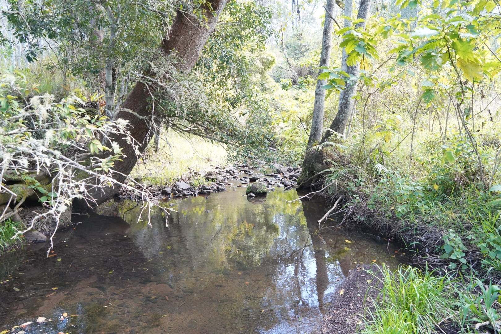432 Sargents Road, Kyogle For Sale by Farmbuy.com - image 22