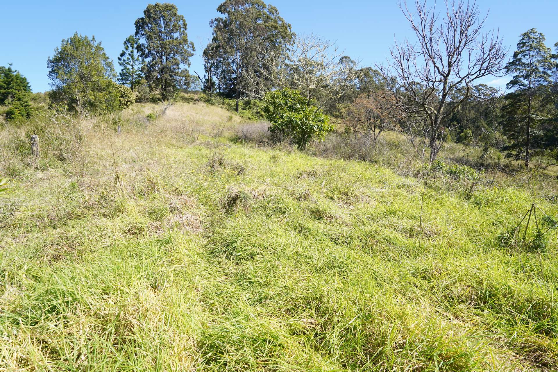 432 Sargents Road, Kyogle For Sale by Farmbuy.com - image 6