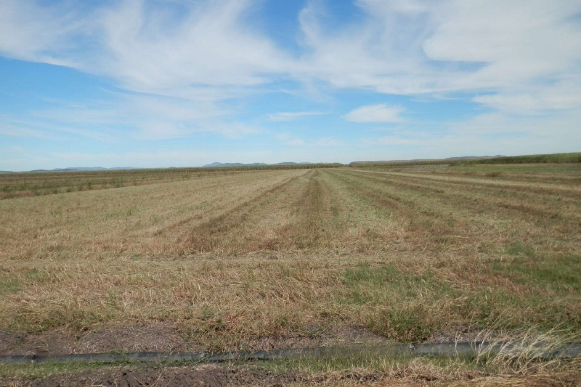 52 Linton  Road, Fredericksfield For Sale by Farmbuy.com - image 17