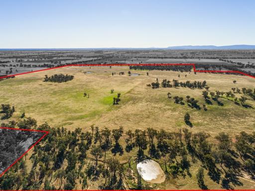Farm Sold - NSW - Young - 2594 - 677 ACRES 