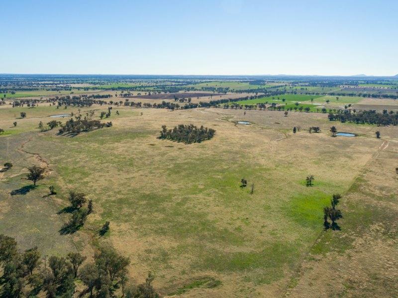 54 Silo Road, Young Sold by Farmbuy.com - image 4