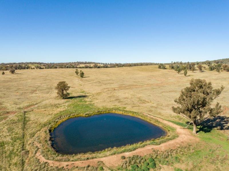 54 Silo Road, Young Sold by Farmbuy.com - image 6