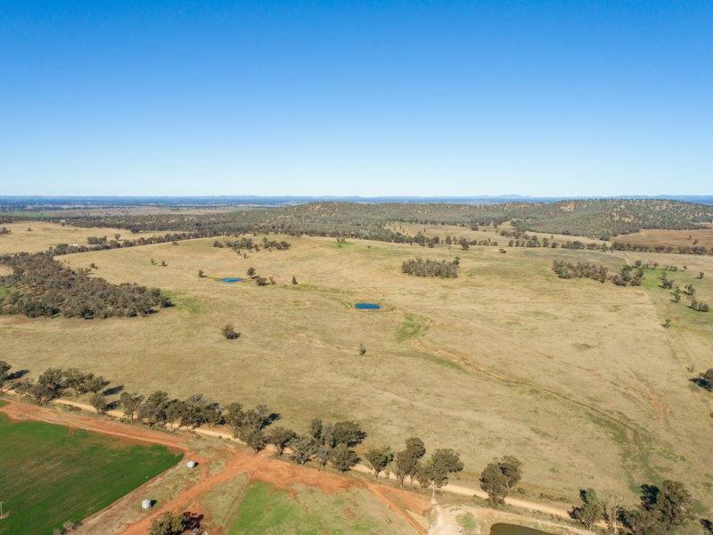 54 Silo Road, Young Sold by Farmbuy.com - image 18