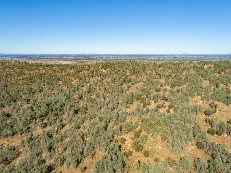 54 Silo Road, Young Sold by Farmbuy.com - image 17