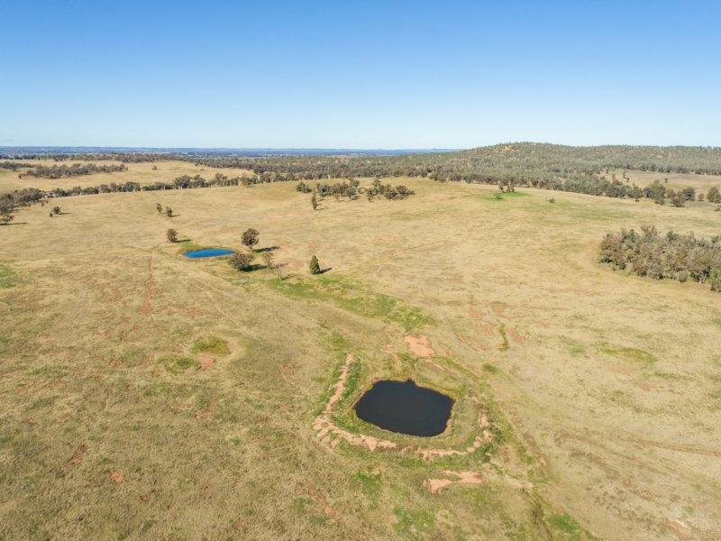54 Silo Road, Young Sold by Farmbuy.com - image 8