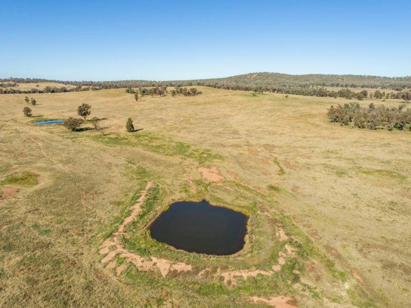 54 Silo Road, Young Sold by Farmbuy.com - image 7
