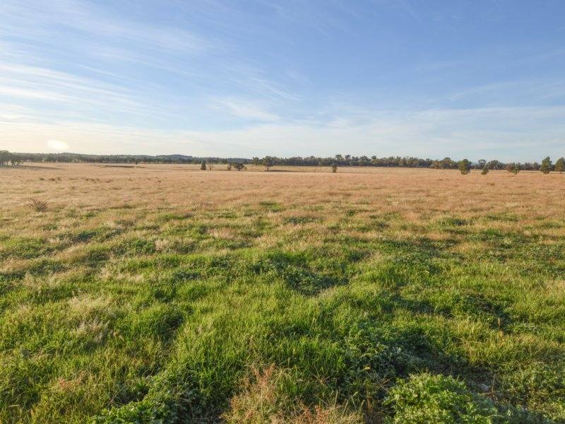 54 Silo Road, Young Sold by Farmbuy.com - image 13