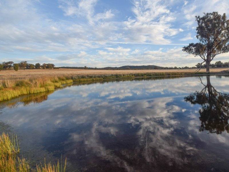 54 Silo Road, Young Sold by Farmbuy.com - image 14