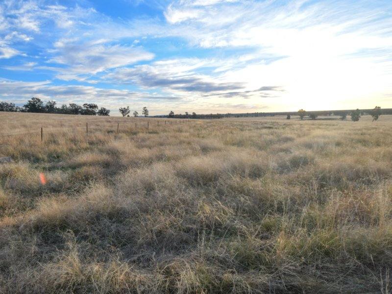 54 Silo Road, Young Sold by Farmbuy.com - image 9