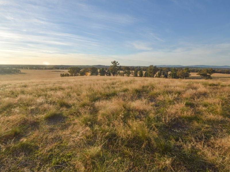 54 Silo Road, Young Sold by Farmbuy.com - image 11