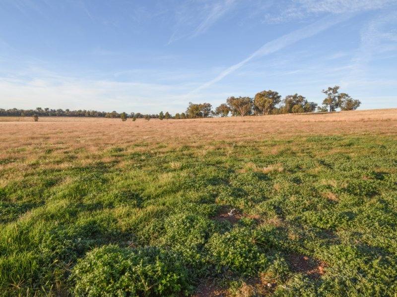 54 Silo Road, Young Sold by Farmbuy.com - image 10