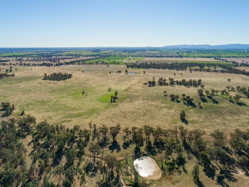 54 Silo Road, Young Sold by Farmbuy.com - image 19