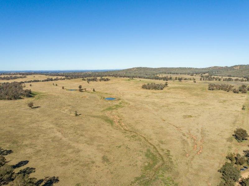 54 Silo Road, Young Sold by Farmbuy.com - image 5