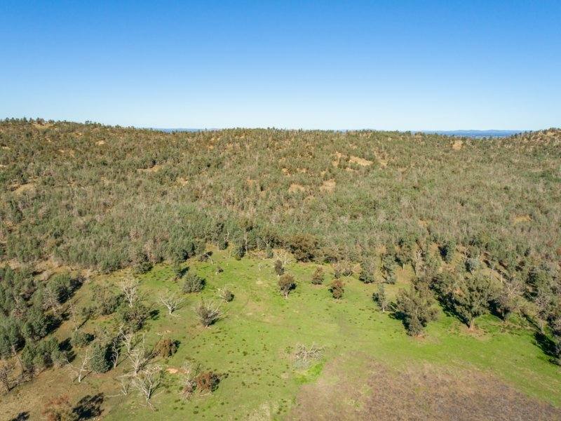 54 Silo Road, Young Sold by Farmbuy.com - image 16