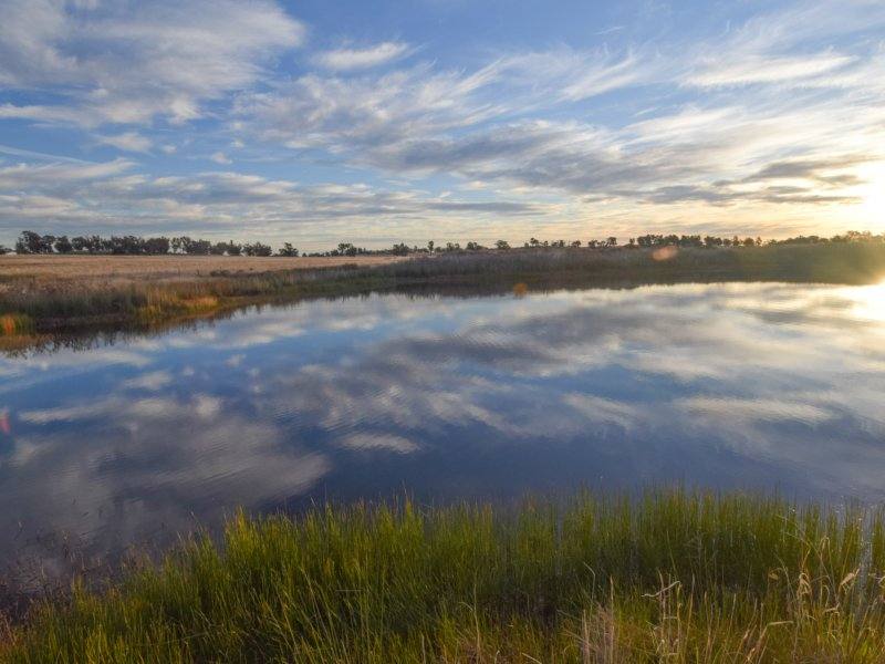 54 Silo Road, Young Sold by Farmbuy.com - image 15