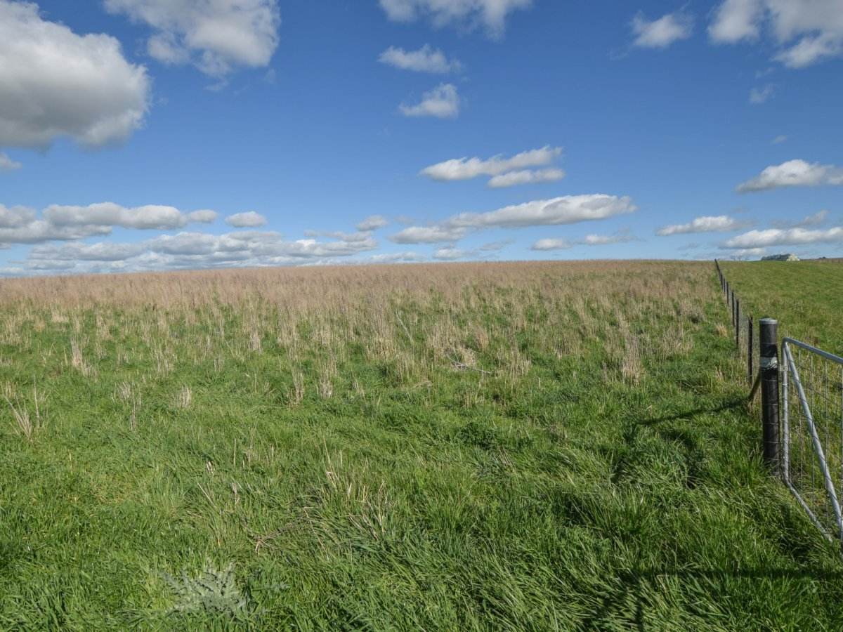 00 Currawong Rd, Young Sold by Farmbuy.com - image 10