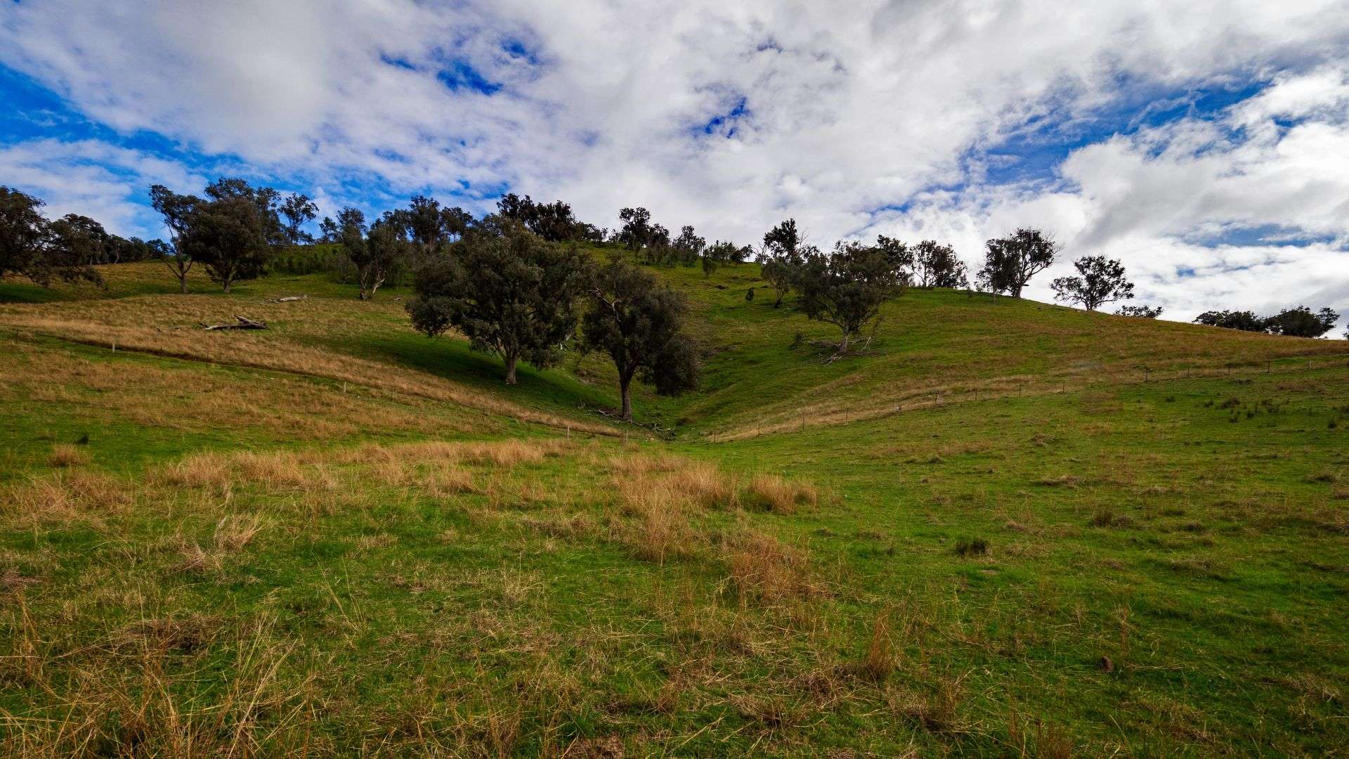 3071 Murray Valley Highway, Ebden For Sale by Farmbuy.com - image 9