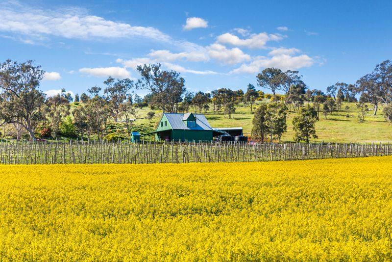 390 Cornella-Toolleen Road, Toolleen Sold by Farmbuy.com - image 1