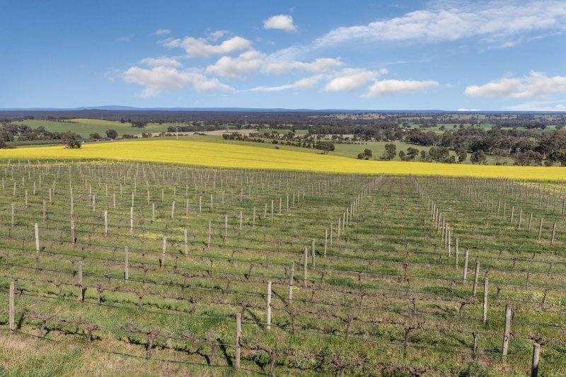 390 Cornella-Toolleen Road, Toolleen Sold by Farmbuy.com - image 15