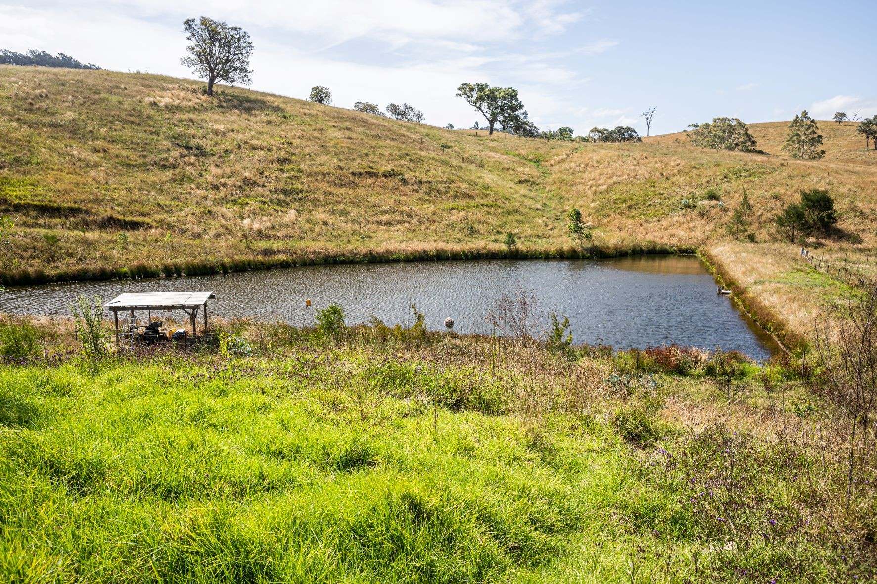 222 Warrigal Range Road, Brogo For Sale by Farmbuy.com - image 22