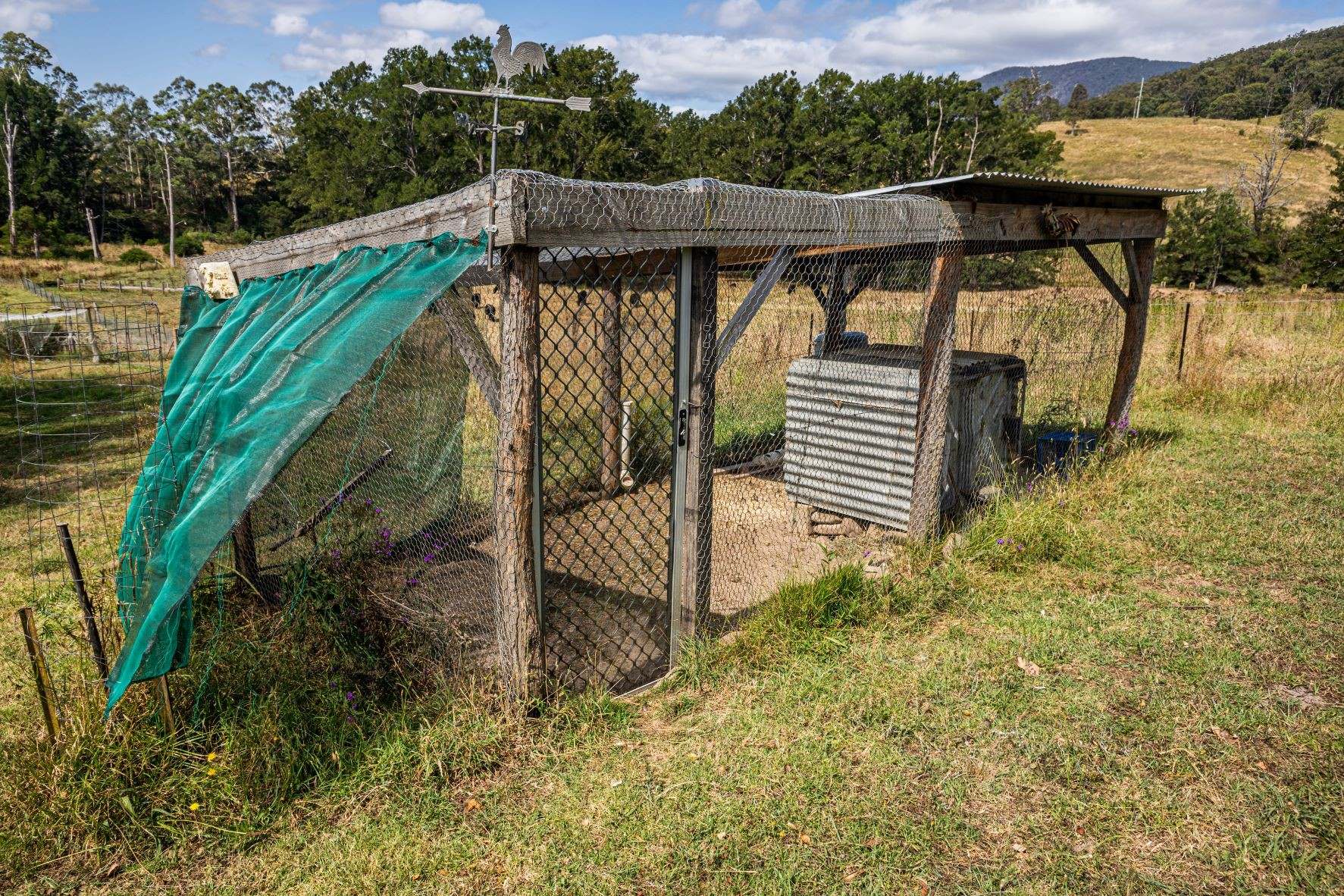 222 Warrigal Range Road, Brogo For Sale by Farmbuy.com - image 23