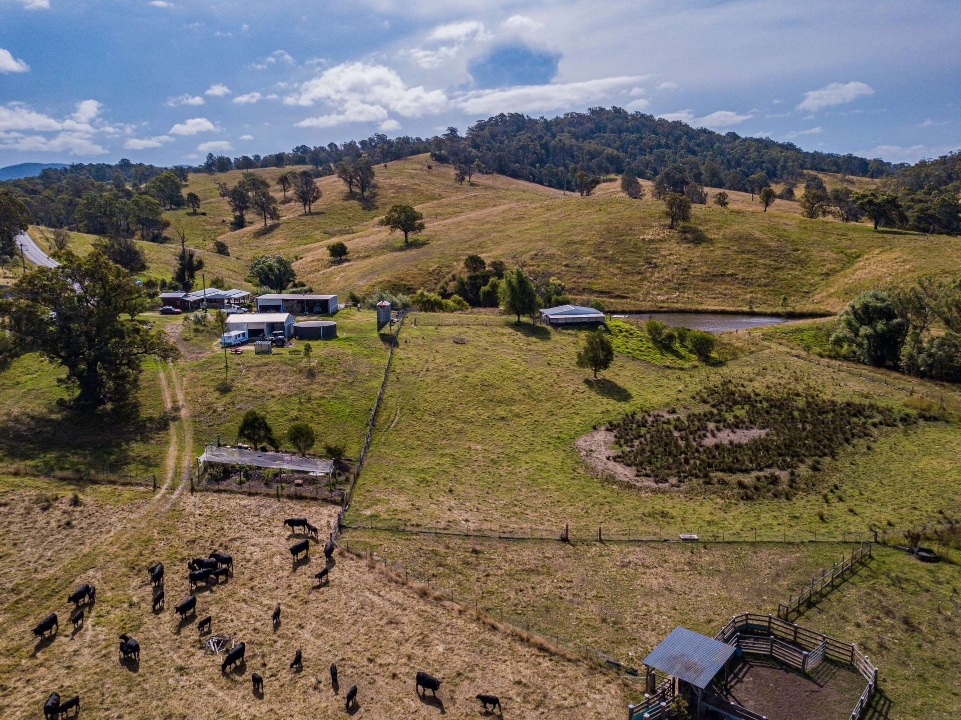 222 Warrigal Range Road, Brogo For Sale by Farmbuy.com - image 4